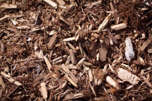 Cedar Mulch