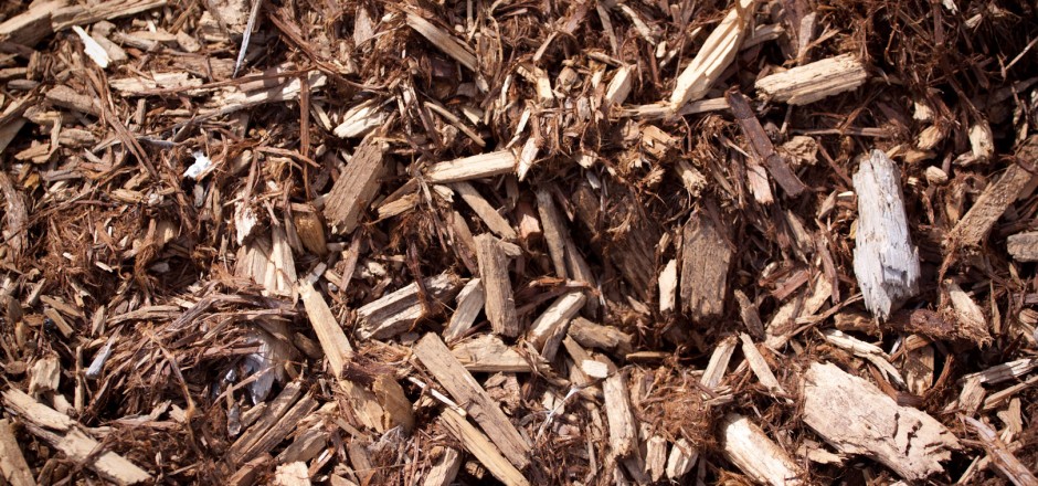 Cedar Mulch